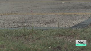Austin Plaza Shooting Sends 4 to Hospital — Business Owners Demand Action