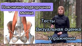 Секреты пояснично-подвздошной мышцы: гипертонус, гипотонус, тесты, упражнения