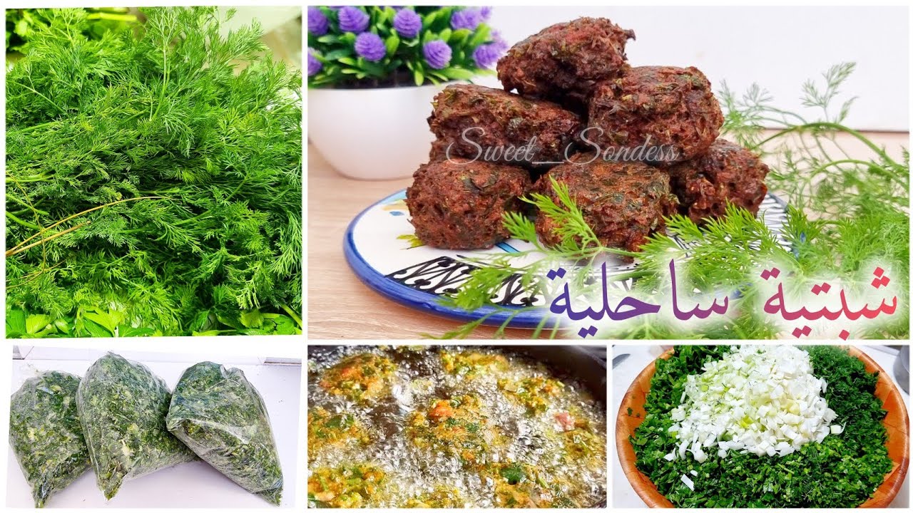 #شبتية تونسية ساحلية من الزمن الجميل بنة و هشاشة لا توصف بمقادير مضبوطة/ chebtiya sahlia tounsia