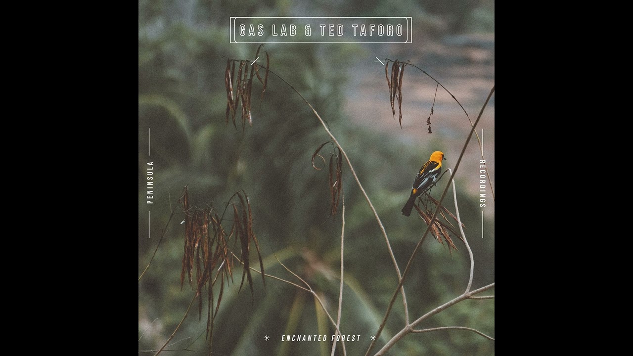 Gas Lab & Ted Taforo "Enchanted Forest" (Full Album)
