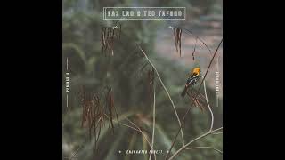 Download Lagu Gas Lab \u0026 Ted Taforo \ MP3