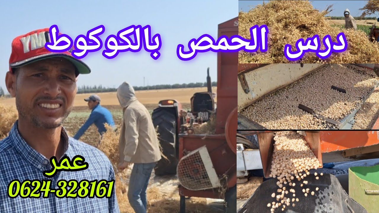 📌الحاجب..من آيت يعزم تابعوا عملية درس الحمص بواسطة الكوكوط