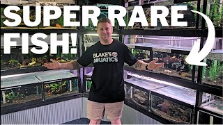 You've Never Seen These Fish Before! - AllFish2U Store Tour