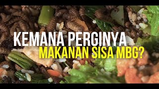 Kemana Perginya Makanan Sisa MBG? | SECRET STORY (09/02/26)