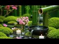 Relaxing Music 💦 Sounds Of Water For Healing The Soul And Stress Relief | Deep Sleep