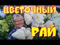 #Обзор#дачи 8 августа #Цветочный #рай.