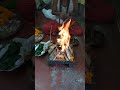 বাড়ির জগদ্ধাত্রী  মায়ের পুজো ও যজ্ঞ ... দশমতম পুজো..