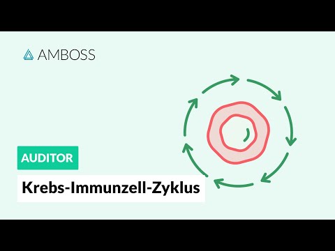 Video: Flucht Vor Der IFN-γ-abhängigen Immunüberwachung In Der Tumorentstehung