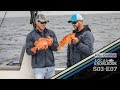 Fishing Inshore San Diego, Catch and Cook S03 E07 West Bound and Down