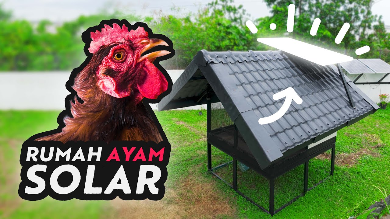Rumah Ayam Berkuasa Solar! Baru selesa ayam-ayam saya :) | CUKTECH 10