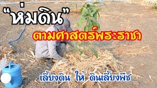 วิธีการห่มดินตามศาสตร์พระราชา | การเลี้ยงดิน ให้ดินเลี้ยงพืช