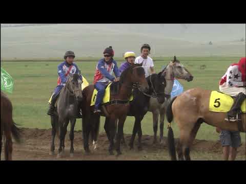 Видео: Дистанция 9 км.Скачка для лошадей местной улучшенной породы.В холке до 148 см.Наадан-Сурхарбаан 2023