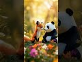 Shortvideo Shortvideo