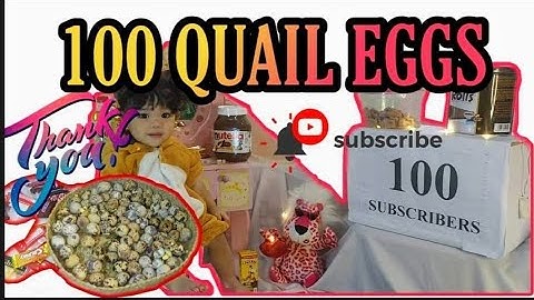 Celebrating 100 Subscribers! | 100 Quail Eggs | BUMBUM LIIT