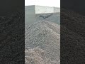 #naturalworld #birdlikesharesubcirbe