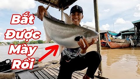 Câu Cá Vồ Đém Mùa Nước Nổi #13 ||  Đụng Độ Hàng Khủng Với Mồi Này .