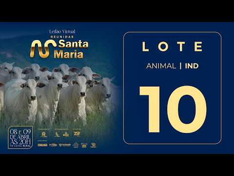 LOTE 10  FSMA 3054