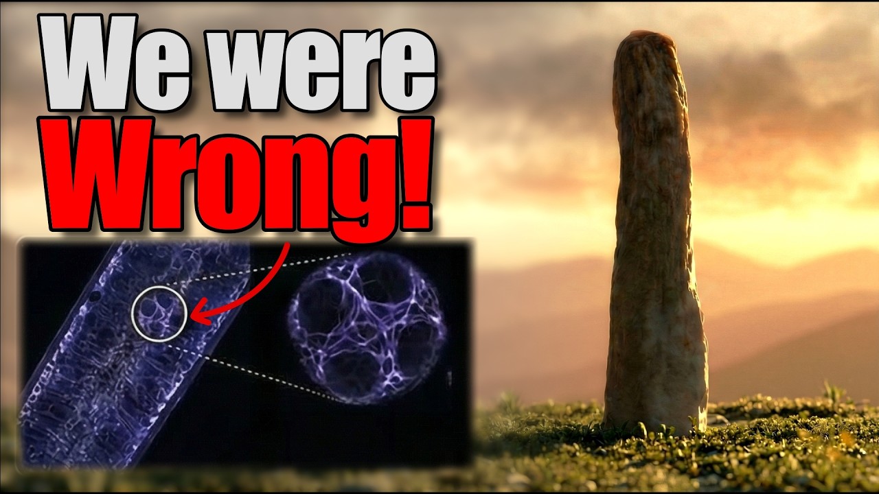 The 26-Foot Mystery That Has Fooled Scientists for 160 Years