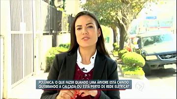 Como tirar árvore da calçada?