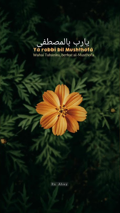 story wa 30 detik || story wa sholawat || ya robbi bill mustofa story wa terkini