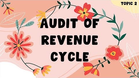 Audit of Revenue Cycle (Team Geneva)