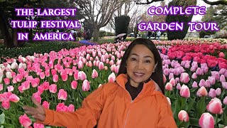 Best Place to See Tulip! visit Skagit Valley Tulip Festival Roozengaarde | Complete Garden Tour