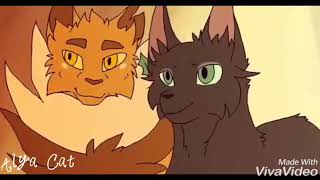 картинка: Коты воители клип До рассвета