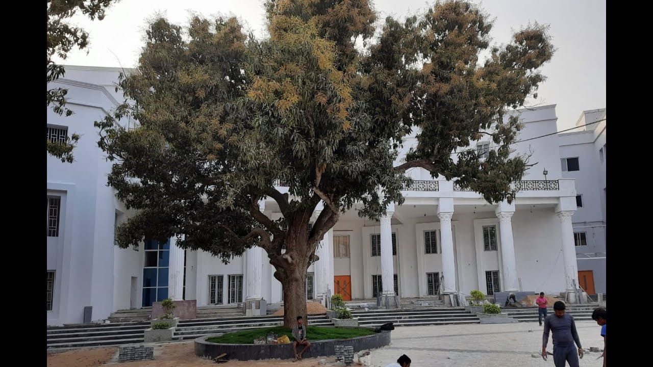 THE WISDOM TREE GLOBAL SCHOOL, BUBANESHWAR.. #schoolarchitecture # ...