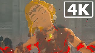 The Legend Of Zelda Botw Series  All Cutscenes  Movie 4k