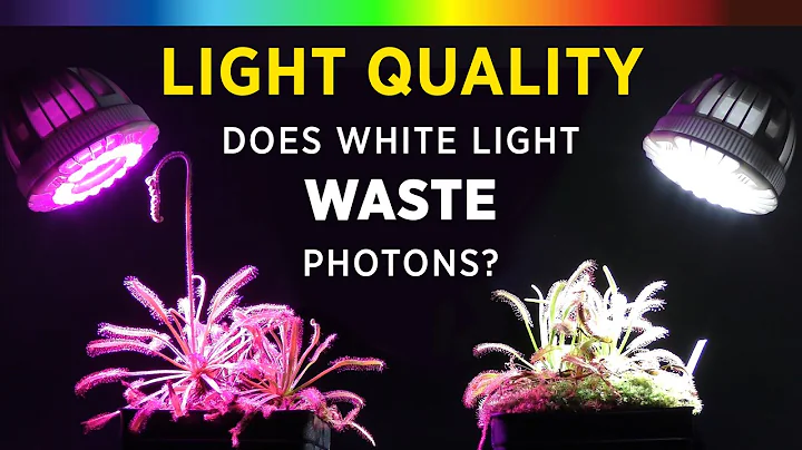 Grow Lights 101: Best Plant Growth Spectrum Color? White vs Red/Blue LED + What is PAR & ePAR Light? - DayDayNews