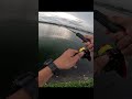 #fishing