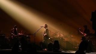 ブルーアンバー　back number Grateful Yesterdays Tour 2026