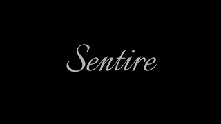 Animatic Sentire - An Alex Cervas Cineminute
