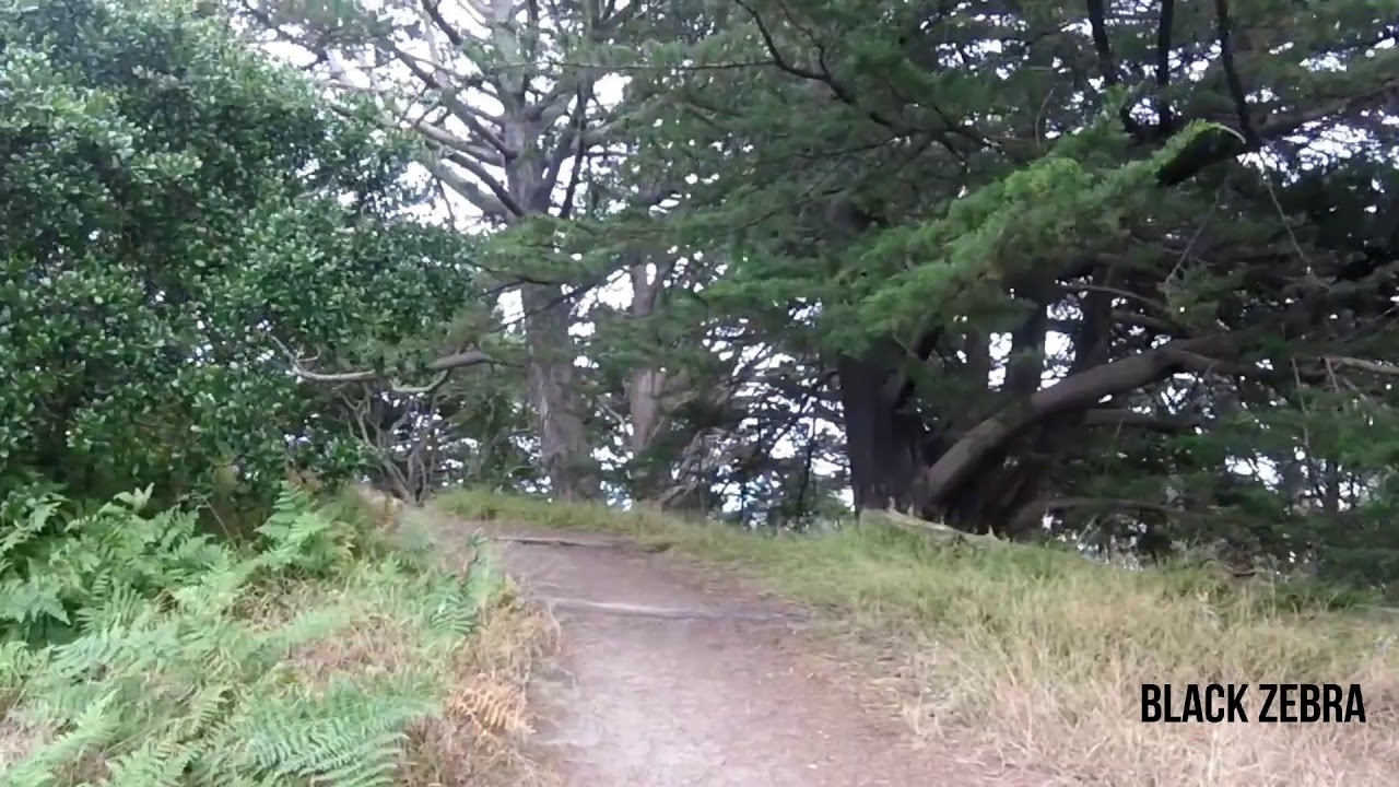 Project Lands End Hike SF