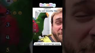 A funny parrot 🦜#parrot #funny #foryou #funnyvideo #fyp #funnytiktok #Interesting #videos #laugh