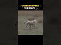 🔥⚡ Speed Showdown: इंसान vs जानवर! 🐆🏃‍♂️ BEAST NOVA #animal #falcon #cheetah #SPEED#FOREST