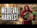 The 20 Most Productive INFINITE FOOD Veggies Everyone Grew in Medieval Times [BIG AG DESTROYED THEM