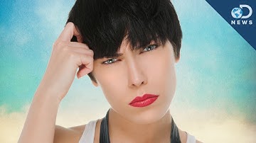 Amnesia: How the Brain Forgets