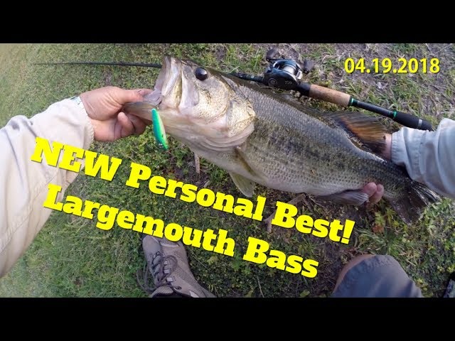 Catching a 5lb Bass with Cheap Lipless Crankbait at Freedom Park