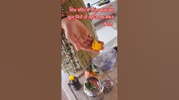 #shorts #महादेव के शिवलिंग पर पीला कनेर का फूल मिले तो यह उपाय जरूर करे#प्रदीप मिश्रा#हर हर महादेव 🙏