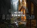 Как построили СКАНДИНАВСКИЙ ДОМ МЕЧТЫ посреди леса! 🏡