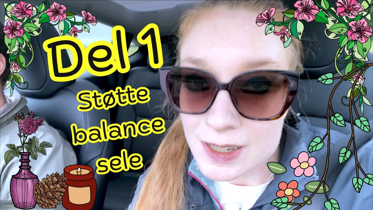 Anskaffelse af en sele er hårdt!!! Servicehunde Serie om støtte balance sele Del 1