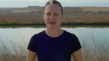 What Coral Reefs Taught Me About Multiple Perspectives | Michele Weber | TEDxReImagineScience