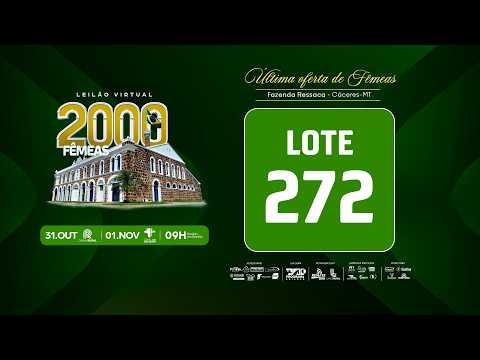 LOTE 272