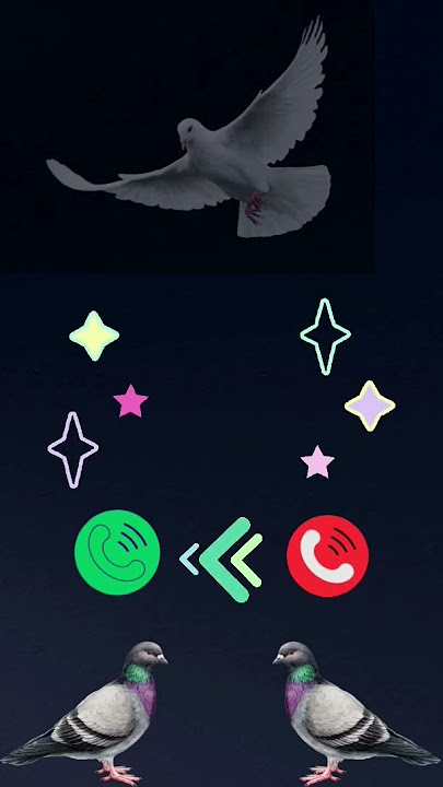 boss call #ringtone #ringtones #ring #telephone