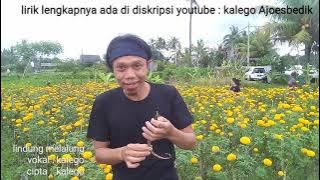 Lindung melalung
