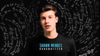 Imagination - Shawn Mendes (sped up)