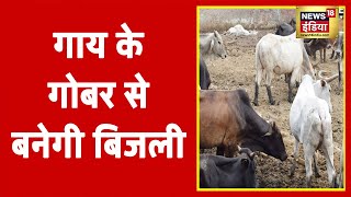 Chattisgarh में गाय के गोबर से बनेगी बिजली, CM Baghel ने किसान सम्मेलन में किया उद्घाटन
