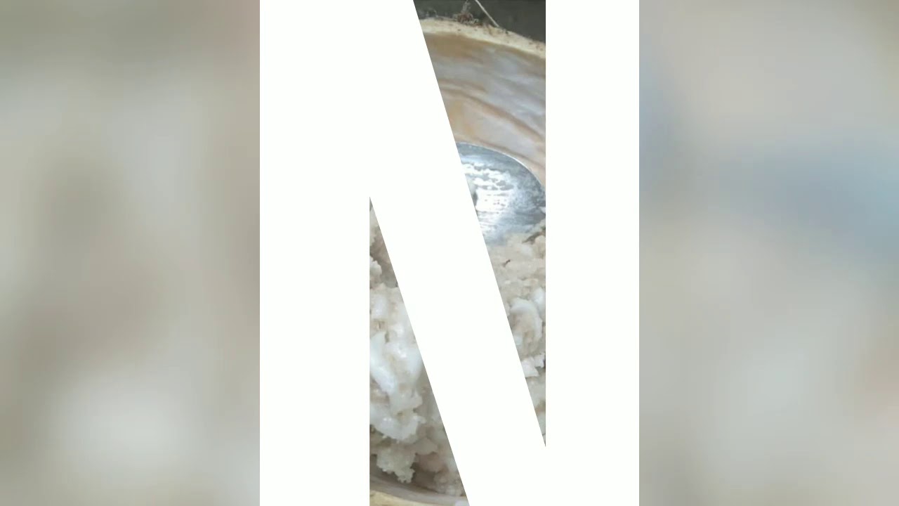 NILUPAK NA PINIPIG!!! (Samar Delicacy)