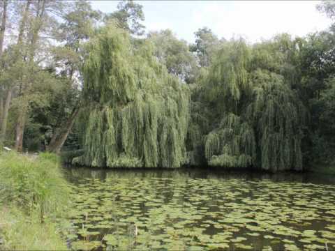 10-8-2011 Krickenbecker Seeen Gele route.wmv